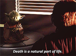 theforgottenblackswan:  Yoda: A Morte é uma parte natural da vida, feliz fique por aqueles que na Força se transformam. Apego leva ao ciumes, a sombra da ganância isso é. Anakin: O que devo fazer, Mestre Yoda? Yoda: Treine-se para largar, de tudo