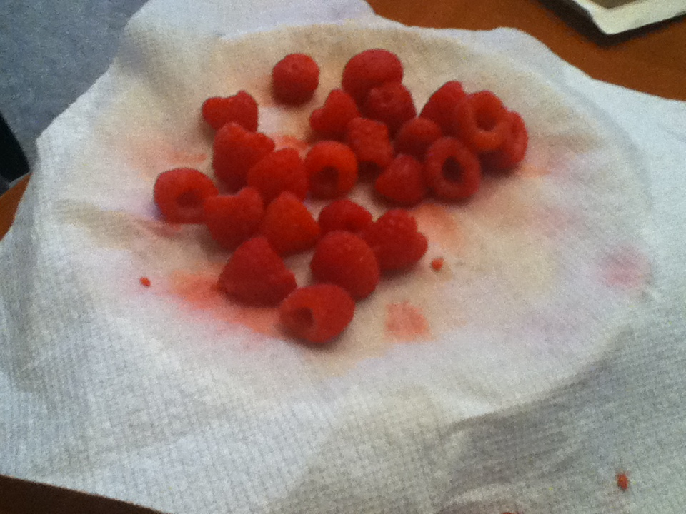 pe-tals:  I fucking love raspberries  one time i showed my friend this picture and