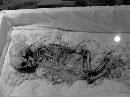  The 5,000 year old skeleton of Charlie. She was found affectionately buried as if