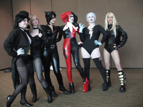 infectedscrew:All the DC Ladies.Zatanna - InfectedscrewBlack Canary (Left) - CobyfrogCatwoman - Iste