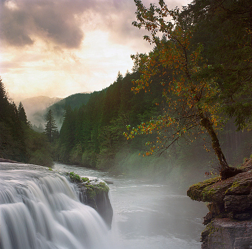 woodendreams:  (by Zeb Andrews) 