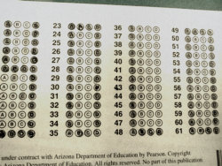 nerdassbitch:  remember when i wrote yolo on a state standardized test and almost got expelled  