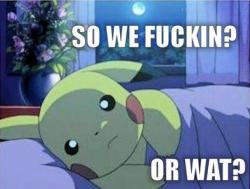 lmao pikachu getting it on