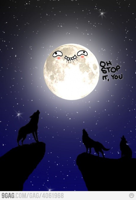 9gag:  Moon loves wolves 