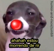 'Como é seu nome ?' 'fu' 'fu o que ?' 'fumiga, e o seu ?' 'ota' 'ota o que ?' 'ota