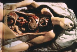 foxesinbreeches:  Anatomical Venus - La Specola Model, 18th century From Opening Up a Few Corpses, 1795-1995 by John Bender of Stanford University Via astropop 