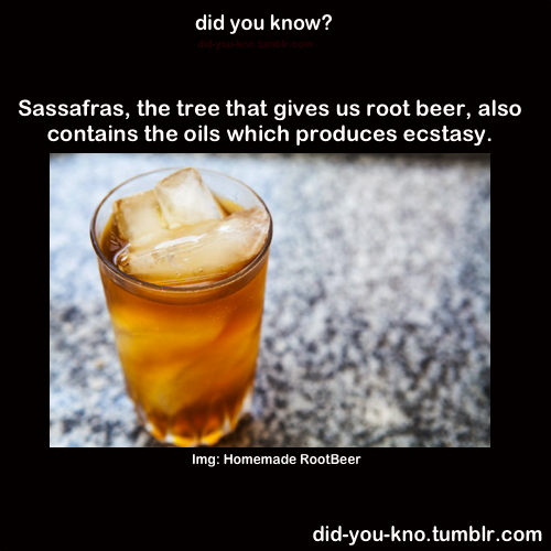 did-you-kno:  Source 