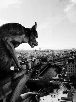 Seriocopulo:  Ffhum:    Notre Dame - Paris    We All Have Personal Demons. 
