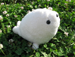 petiteplush:  My baby Seal prototype created