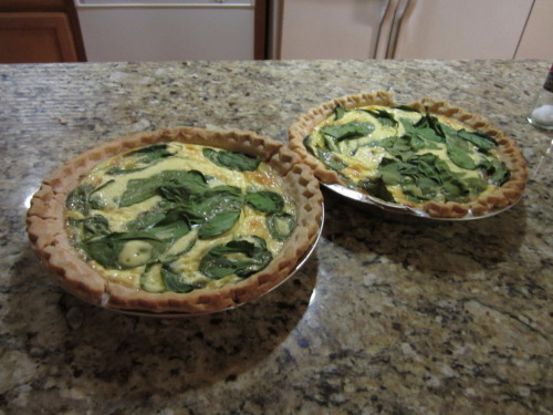 Made some quiche todaaaay. It’s spinach with feta, and mozzarella.