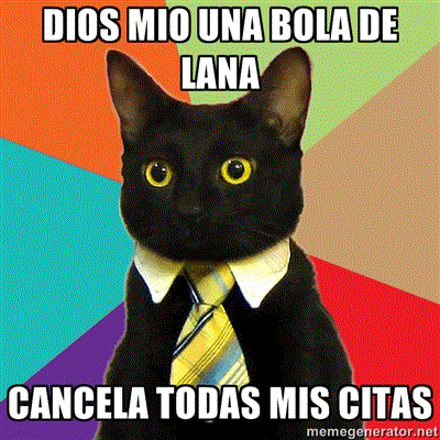 No somos nada