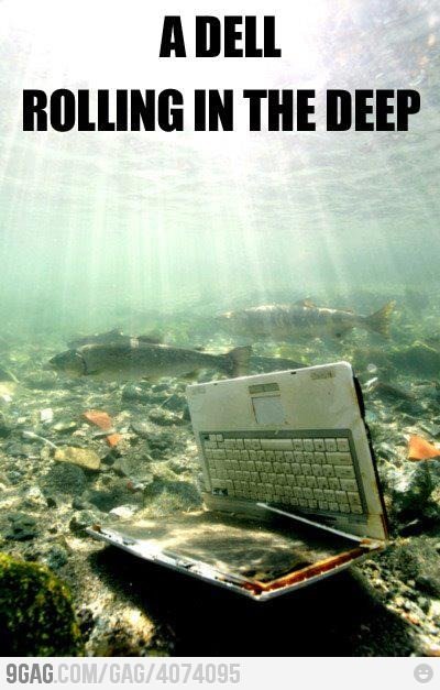 9gag:  Adele rolling in the deep 