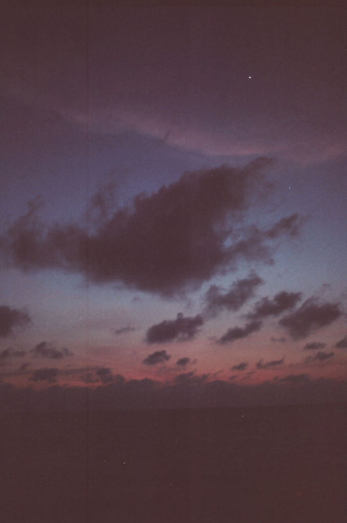 wavves