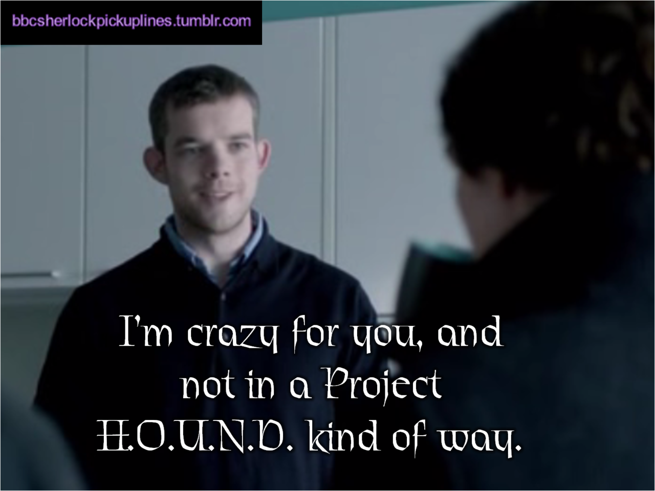 &ldquo;I&rsquo;m crazy for you, and not in a Project H.O.U.N.D. kind of way.&rdquo;