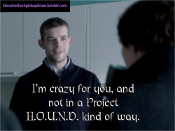 “I’m crazy for you, and not in a Project H.O.U.N.D.