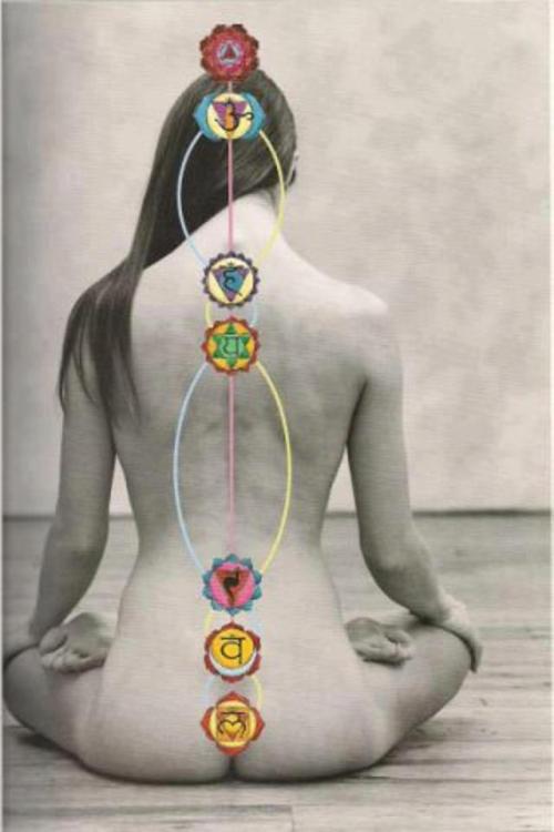 Porn photo  Structure of the Chakras: “Chakra” is