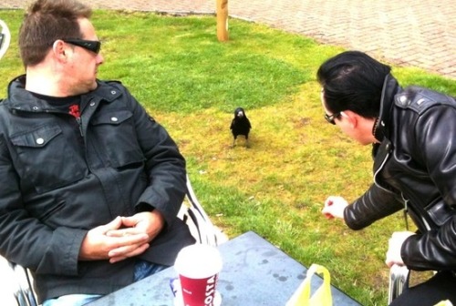 fallopianrhapsody: anti-pope: captain tweeted dave befriending a bird :)))))))))))))))))))))))))))))