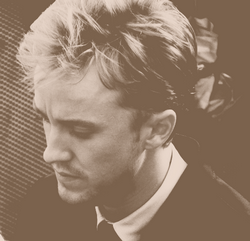 Toujours Pur;