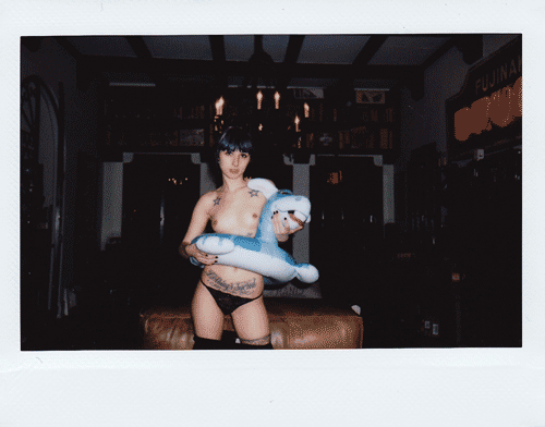 aninstantwithlaura:  Donkey and Friends 