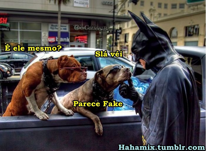 É uma gata + é uma cachorra