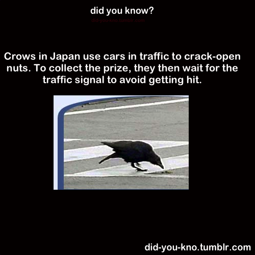 did-you-kno:  Source