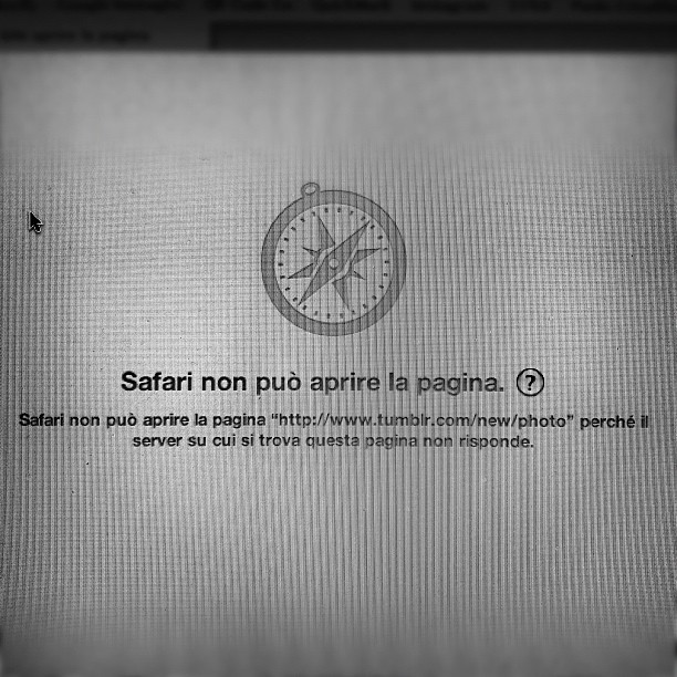 Grazie Vodafone ~ #italy #polworld #roma#polworld #igerspadova #occupypadova #party