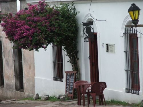 Trim dat bush! Colonia, Uraguay Source: Zacapatista (2004)