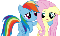 royalcanterlotvoice:  Hey Fluttershy, whats