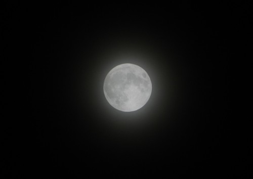 micarteraesnarnia:  I wanted to take a picture of the Super Moon too :DSaturday- May 5, 2012**Pictures taken with a Nikon Coolpix L120 camera This was taken on Puertorican soil. 