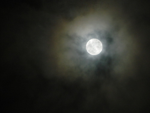 micarteraesnarnia:  I wanted to take a picture of the Super Moon too :DSaturday- May 5, 2012**Pictures taken with a Nikon Coolpix L120 camera This was taken on Puertorican soil. 