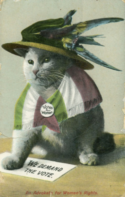 powerpussysays:historicalslut:   Apparently feminists have loved cats since the suffrage movement. Who knew?  
