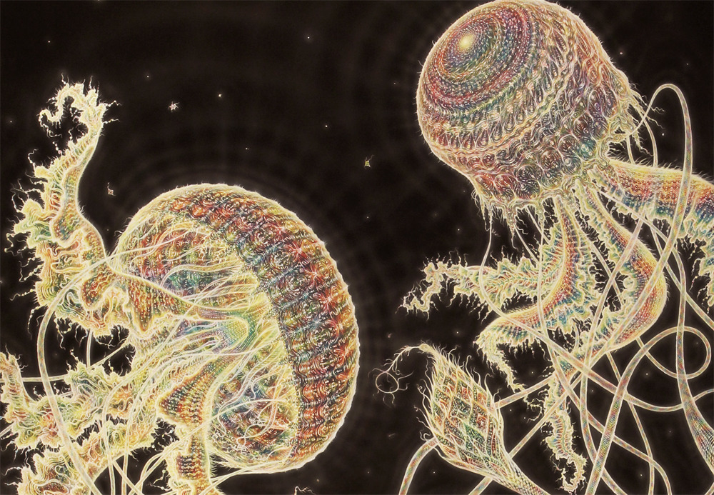 since-because-pickles:  victoriousvocabulary:  MEDUSOZOA [noun] a subphylum consisting