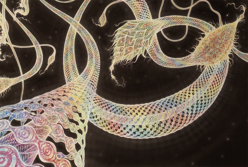 since-because-pickles:  victoriousvocabulary:  MEDUSOZOA [noun] a subphylum consisting