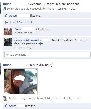 the-absolute-funniest-posts:  Follow this blog, you will love it on your dashboard