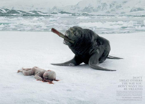 withoutathing:  This image is so powerful, and apt that it needs no words.  &lsquo;Don&rsquo;t