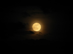 hypattia:   Supermoon 2012 Photos: Big Full Moon Views from Around the World من يومها صار القمر أكبر :)  قلبى :))