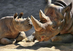 earth-song:  “Luv U, Mom!” by Klaus Wiese