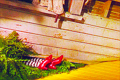 horridheadache-deactivated20140:  The ruby slippers were silver, like in the book,