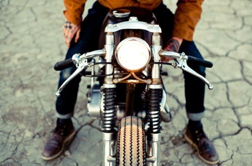 wildbutgentleman:  Wild but Gentleman