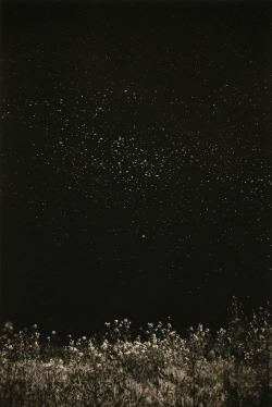 birdsong217:  mondonoir: Masao Yamamoto, “Nakazora” #1025 (中空), Silver Gelatin Print 