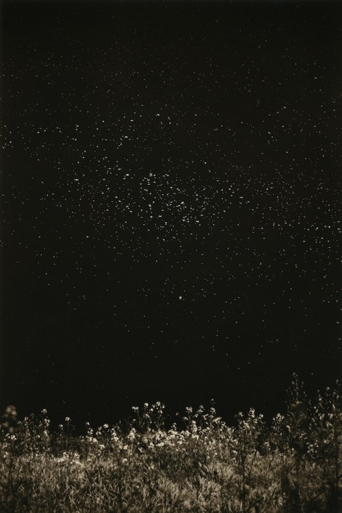 Porn birdsong217:  mondonoir: Masao Yamamoto, photos