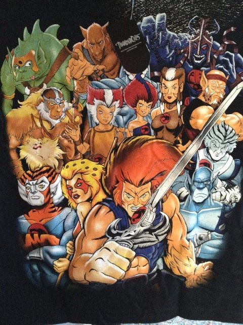 mjunem:thundercats shirt :D