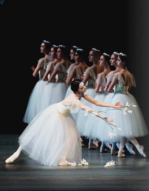 ryanishka:  Diana Vishneva in Giselle This is one of the most gorgeous pictures I’ve ever seen