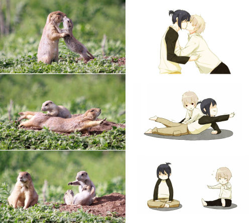no-other-words:  absolute[cute]