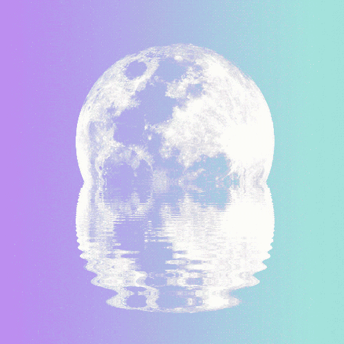 acid-bubble-gum:  ♧♤Cool Shit♢♡ 