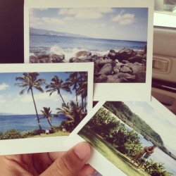 cluubsoda:  polaroids!! 