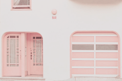 rosiae:  rosaie-tea:  rosy-gardens:   click  ❀❀❀  ╳ More Bambii Pink  cute 