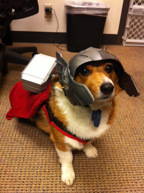 jaddicusfinch:  wompadan:  Thorgi  OH MY GOOOOOD  BABY.