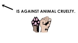 queenkatiee:  on-my-own-journey:  familiaralien:  missingkitsune:  eatfithappiness:  vegan-vulcan:  I didn’t know there were twenty thousand vegans on tumblr!!!  You can be against animal cruelty and not be a vegan  You can be against animal cruelty