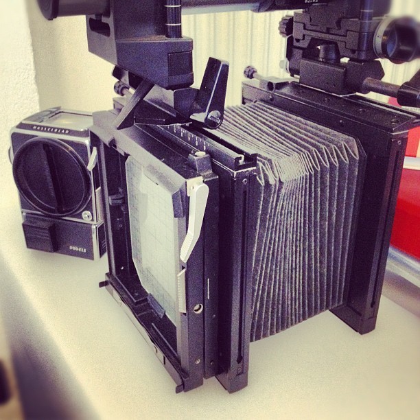 Hasselblad - #crivellin #polworld #igerspadova #padovafotografia #hasselblad#italy